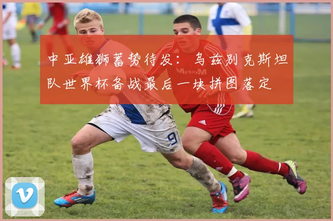中亚雄狮蓄势待发：乌兹别克斯坦队世界杯备战最后一块拼图落定