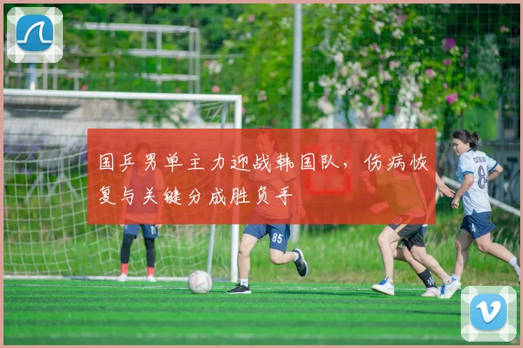 国乒男单主力迎战韩国队，伤病恢复与关键分成胜负手